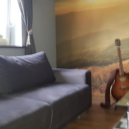 Apartament Folkowy Wujek Pod Gromadzyniem ウストシキ・ドルネ エクステリア 写真