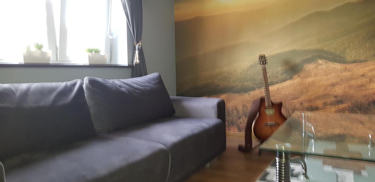 Apartament Folkowy Wujek Pod Gromadzyniem ウストシキ・ドルネ エクステリア 写真